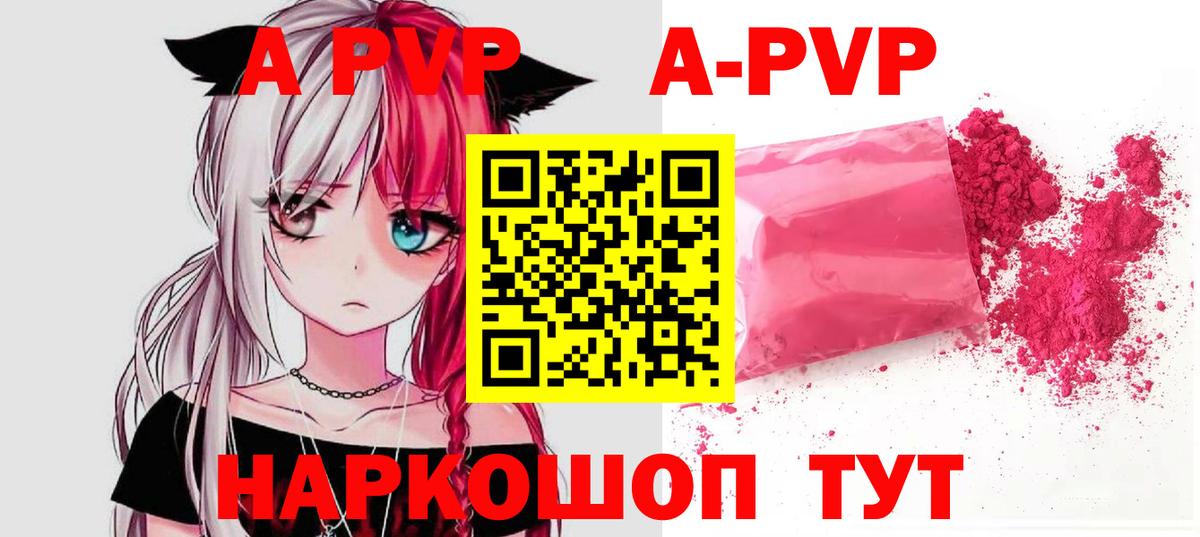 Альфа ПВП СК Прокопьевск