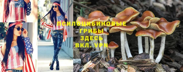 ешки Лабытнанги