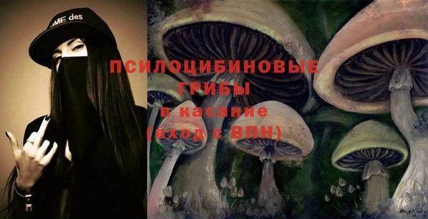ешки Лабытнанги