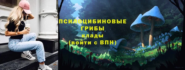 СК Лихославль