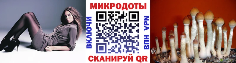 Галлюциногенные грибы прущие грибы  Прокопьевск 
