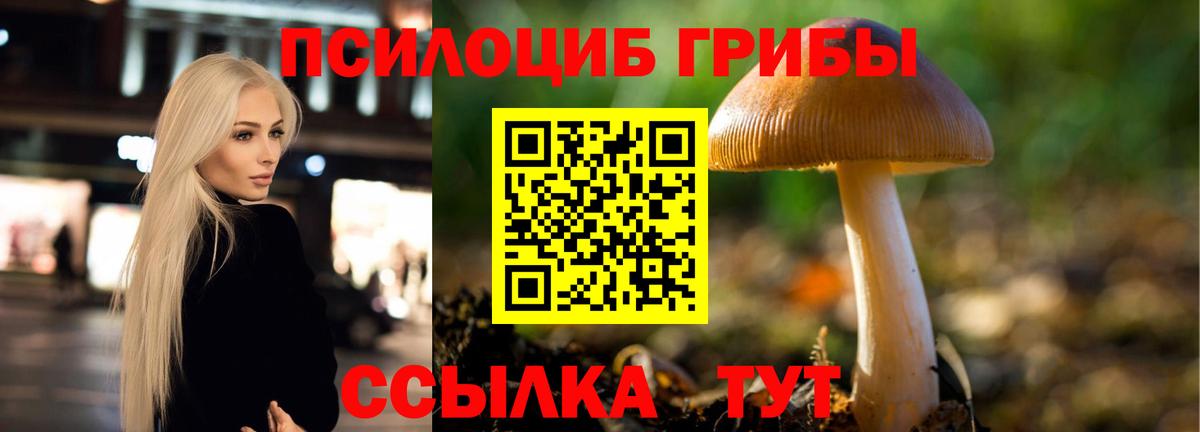 Псилоцибиновые грибы Cubensis  наркотики  Прокопьевск  Вход с VPN 